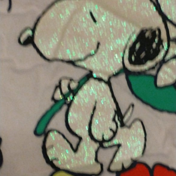 Peanuts Other - SNOOPY TEE..... EUC